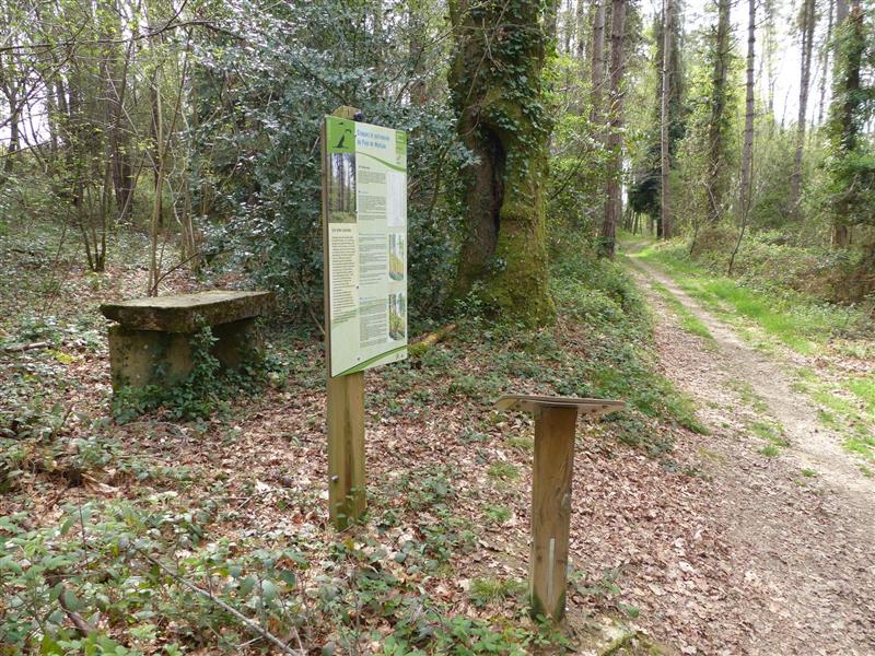 Ouillon : chemin des bergers à VTT