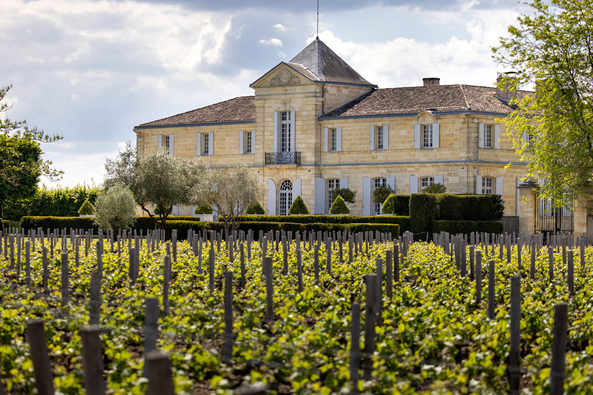 Château du Tertre — photo 2
