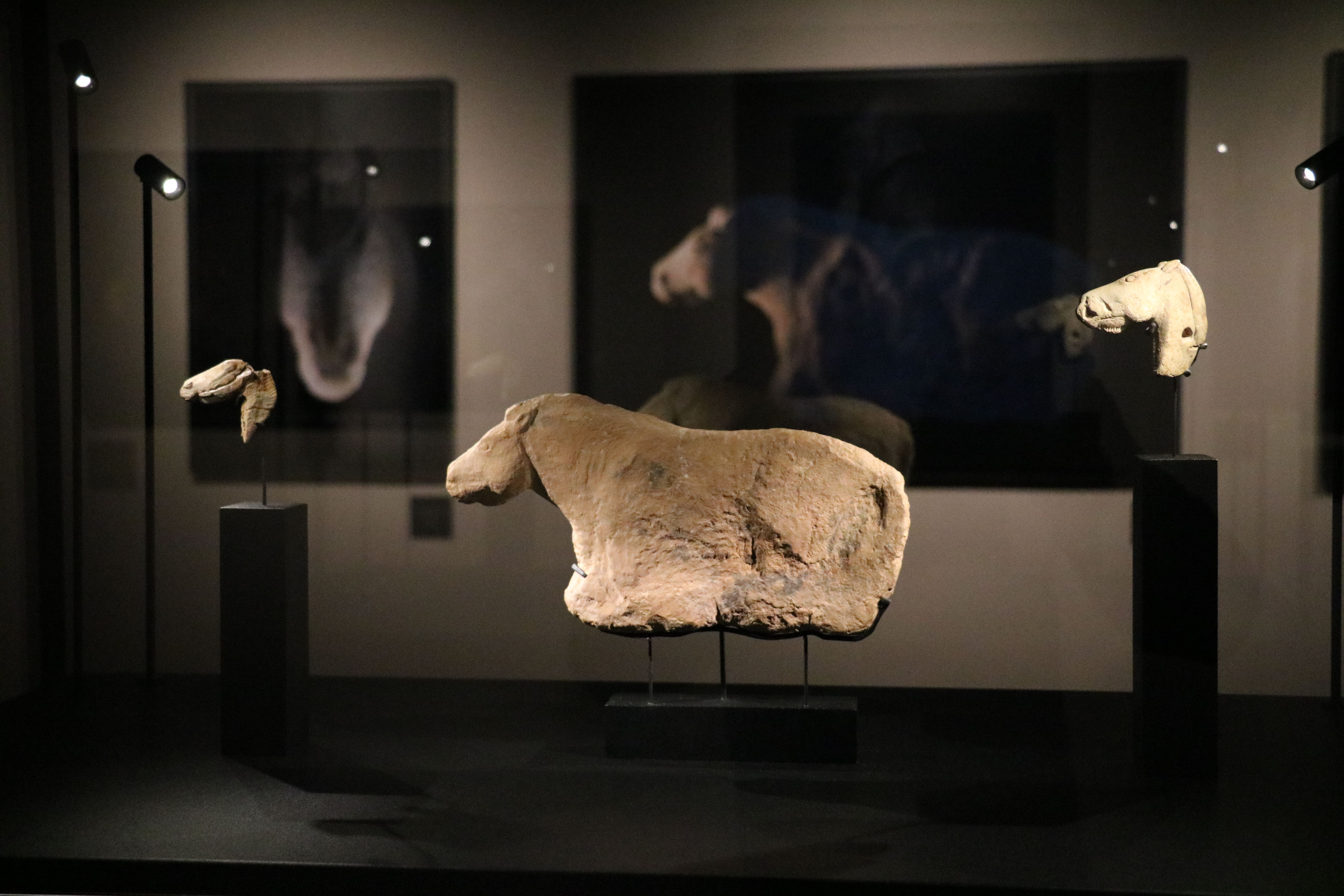 Abbaye d'Arthous, Hastingues - photo 3