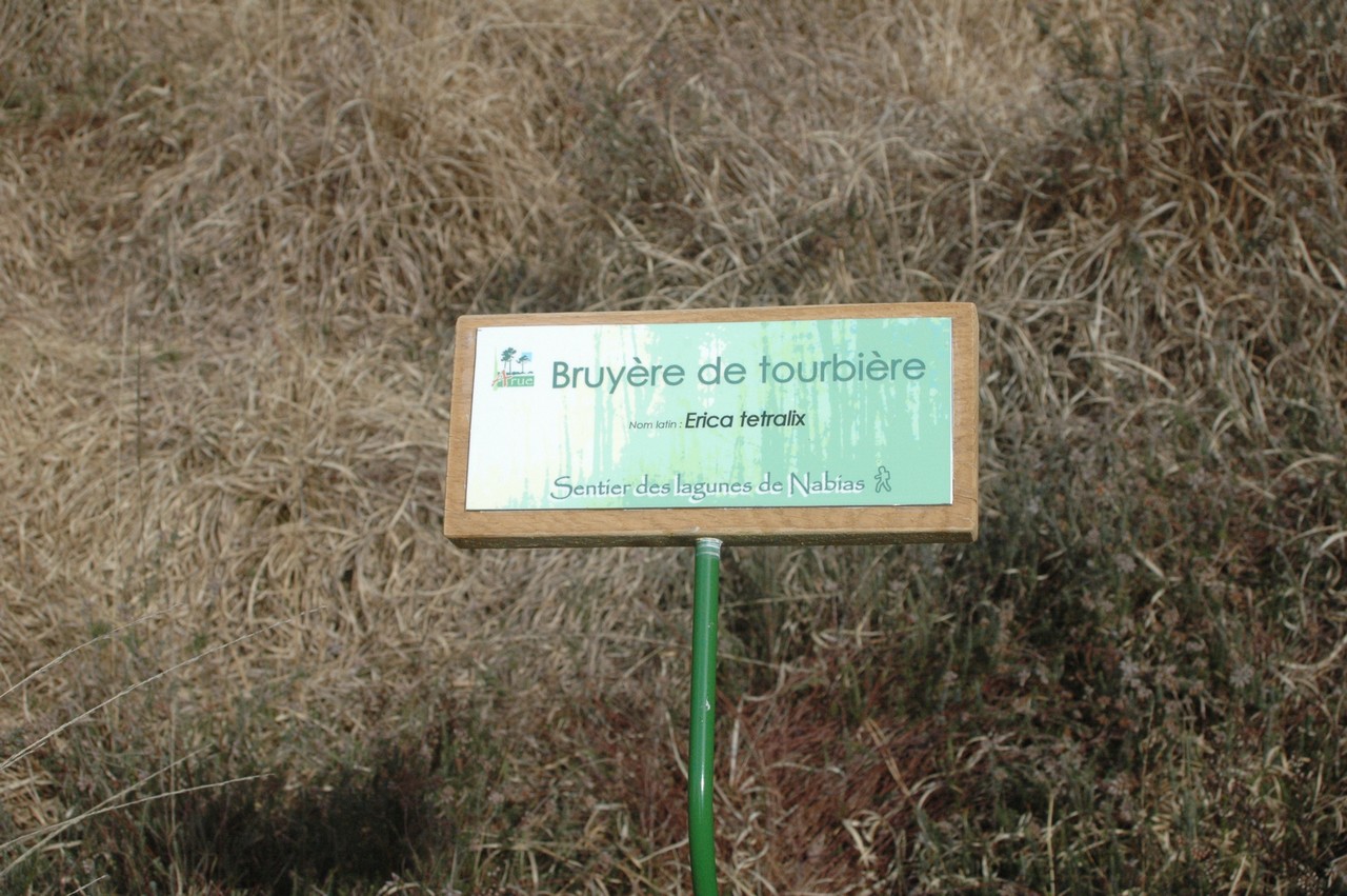 Lagunes de Nabias, Arue - photo 9