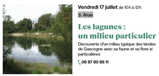 Les lagunes : un milieu particulier