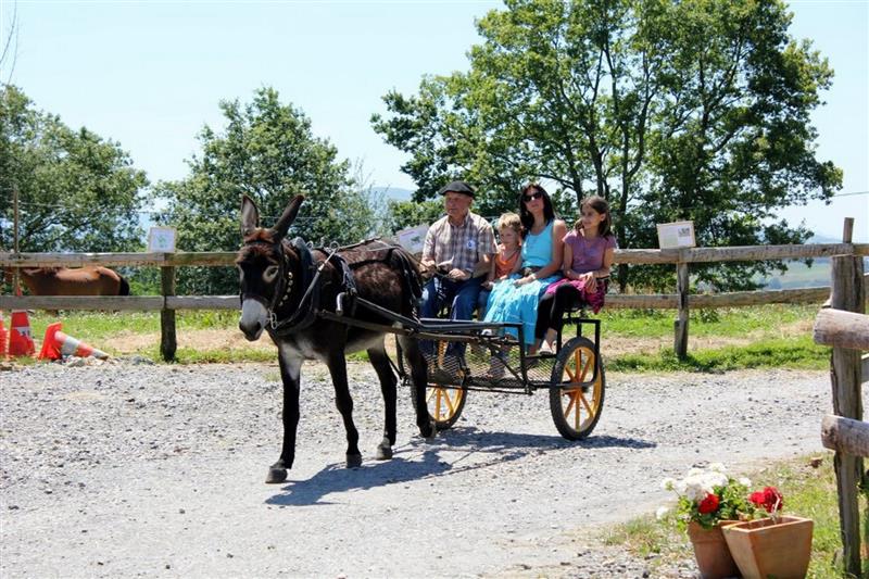 Asinerie de Pierretoun - Ferme Découverte