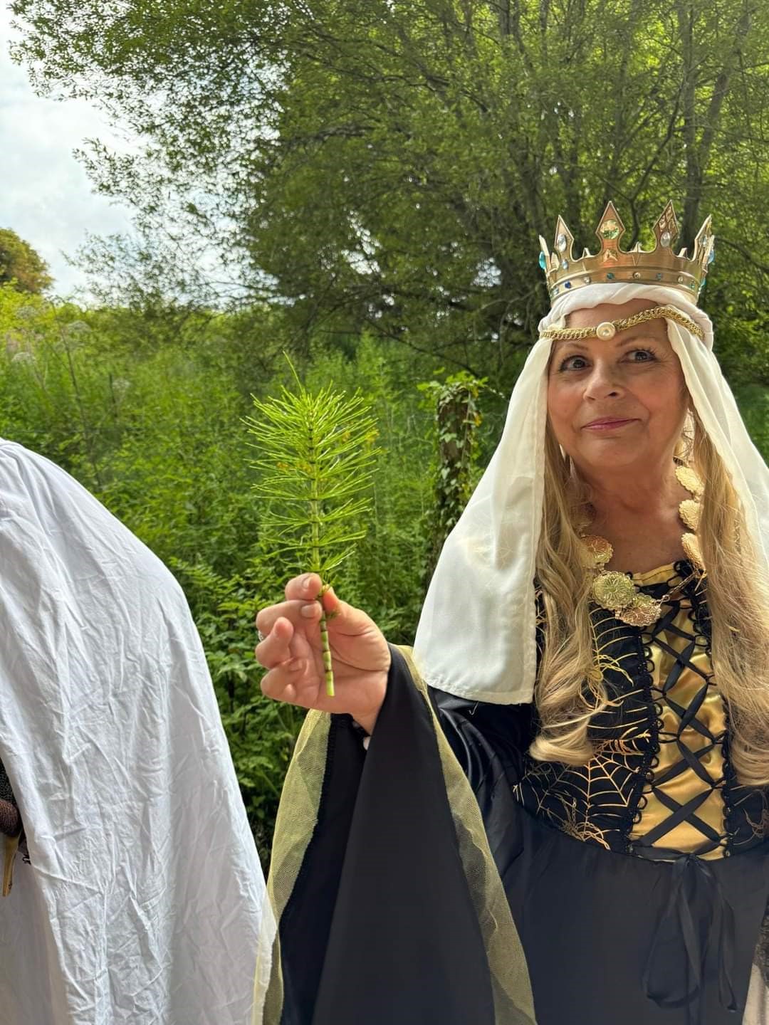 La forêt enchantée - photo 2