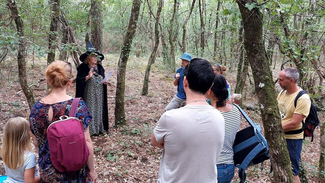 La forêt enchantée - photo 3
