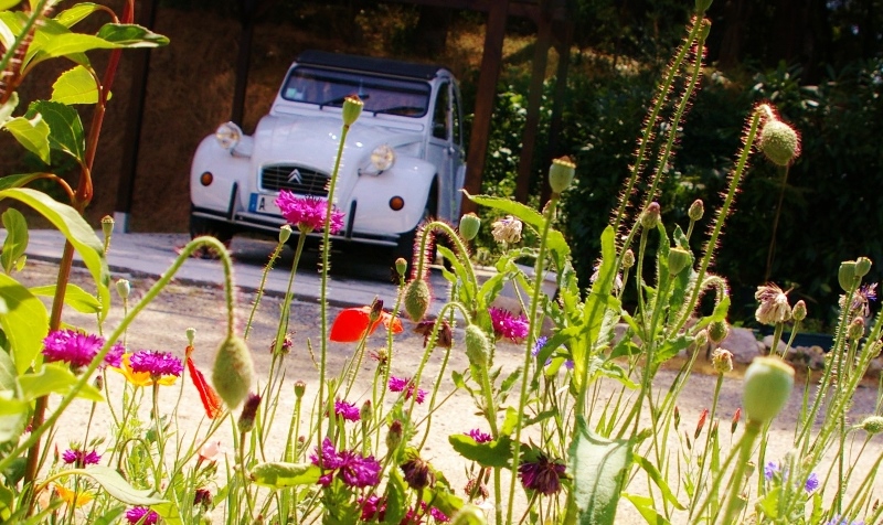 L'Accent, Astaffort - photo 11