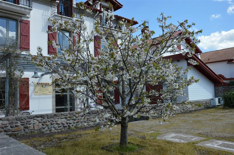 Centre d'évocation du village Ateka