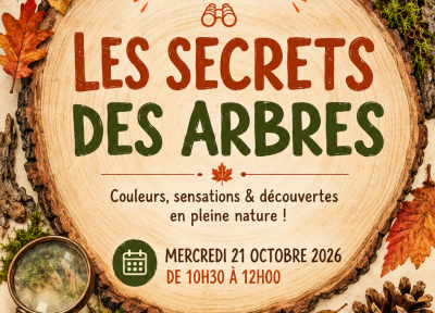 Atelier d'automne - Les secrets des arbres