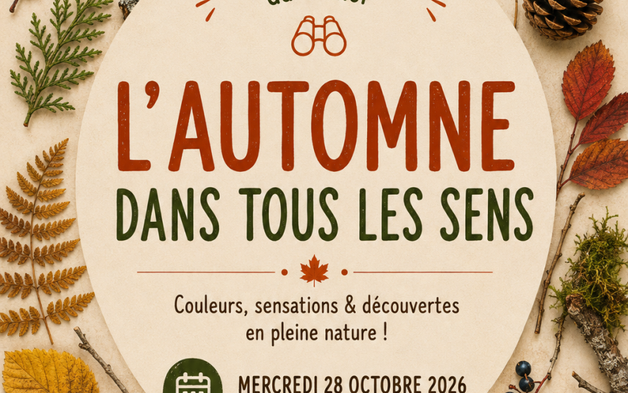 Image de présentation du lieu