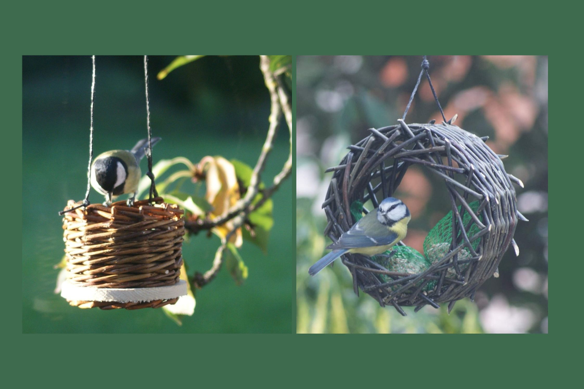 Stage de vannerie adulte | Créez deux mangeoires à oiseaux en osier — visuel événement