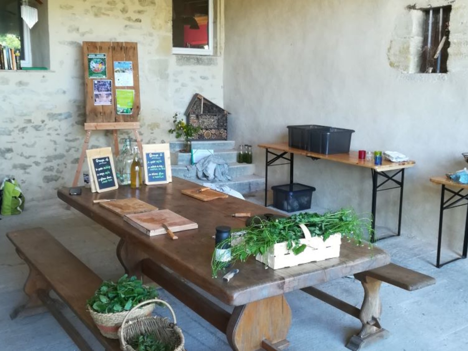 Ô Jardin des Kamis, Saint-Sève - photo 3