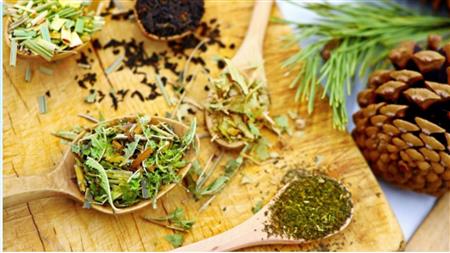 Atelier d'herboristerie : renforcer son système immunitaire