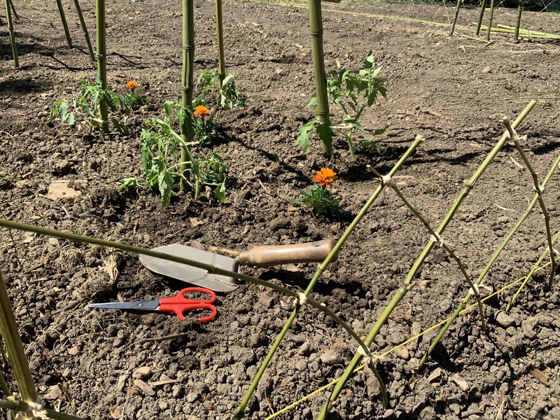 Malagar Autrement - Atelier taille du jardin, Saint-Maixant - photo 2