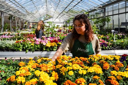 Atelier nature avec Mendi, le jardin de tous Atelier nature avec Mendi, le jardin de tous