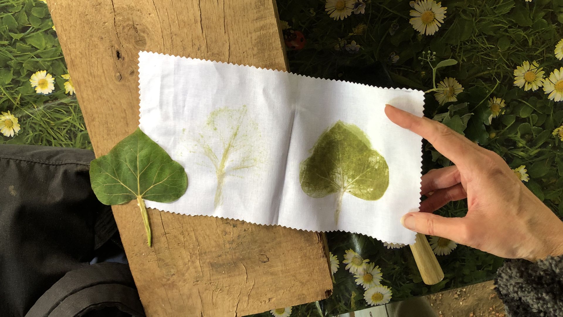 Atelier teinture et impression végétale à Limeuil