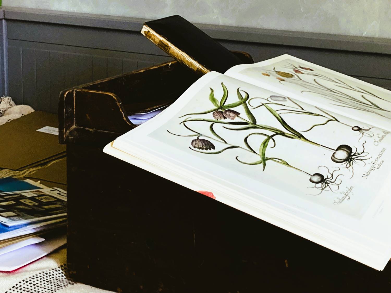 Été Artistique -  Atelier Bas relief Botanique en plâtre avec Marie Laure