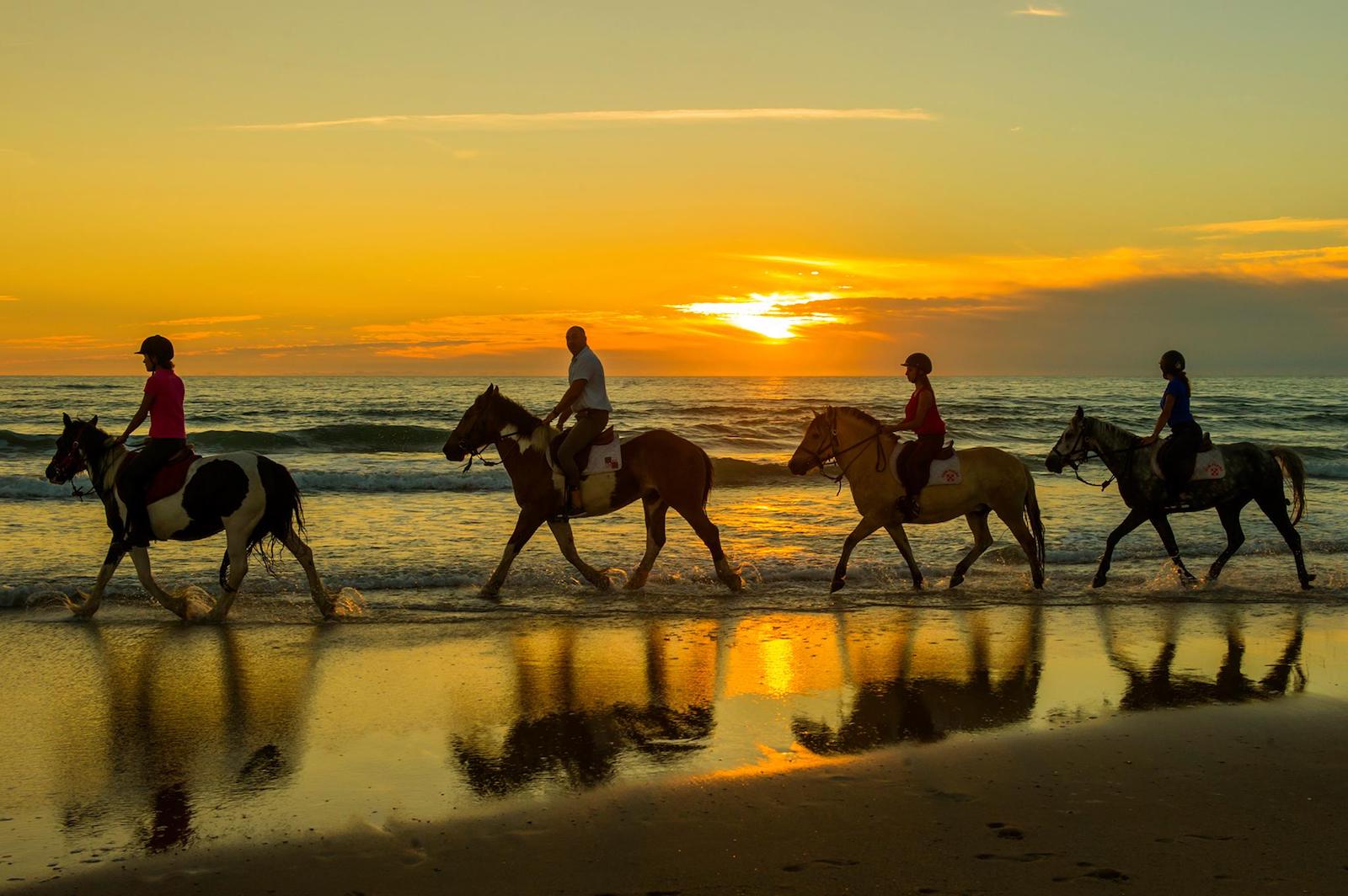Atlantic Club Equestre - Ferme pédagogique