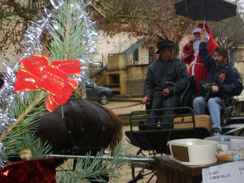 Les Attelages de Monsacou - photo 4