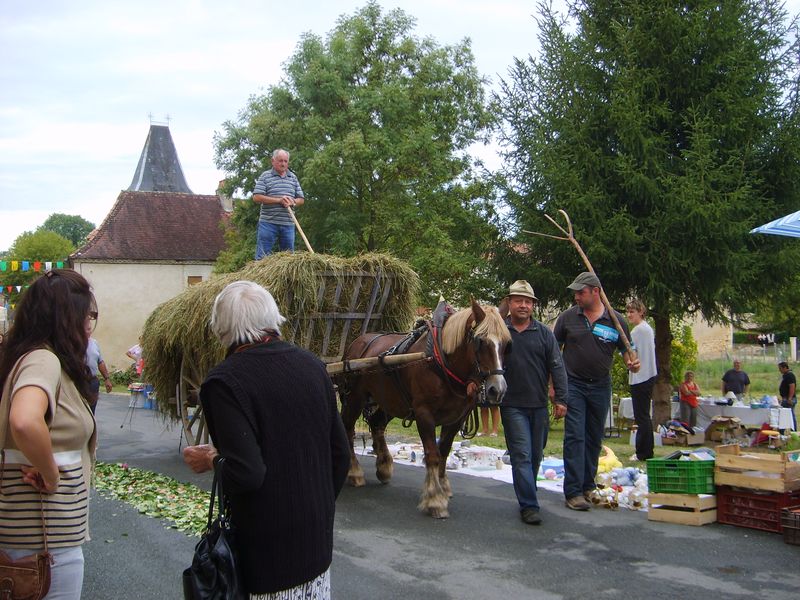 Les Attelages de Monsacou - photo 3