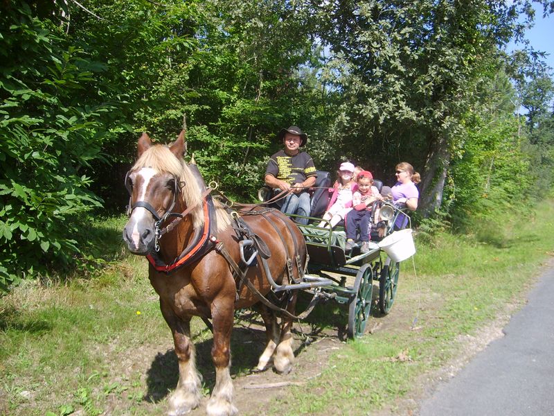 Les Attelages de Monsacou - photo 5