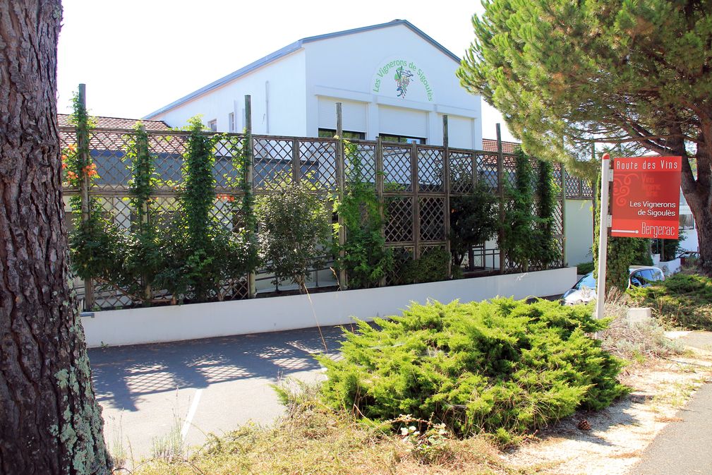 Les Vignerons de Sigoulès - photo 5