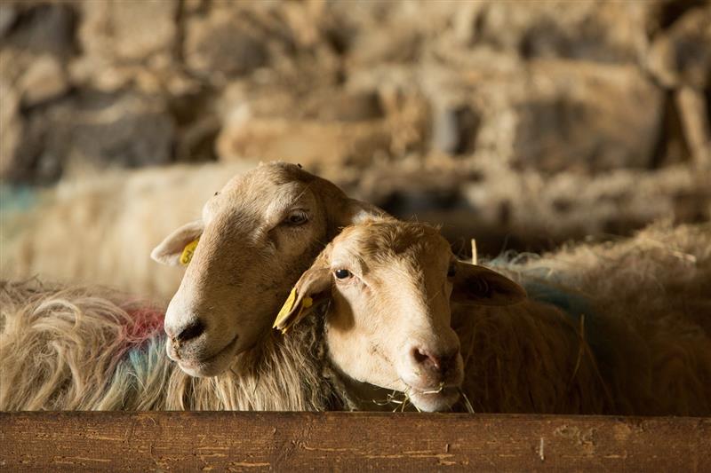 Aire de stationnement ferme Aitxinea