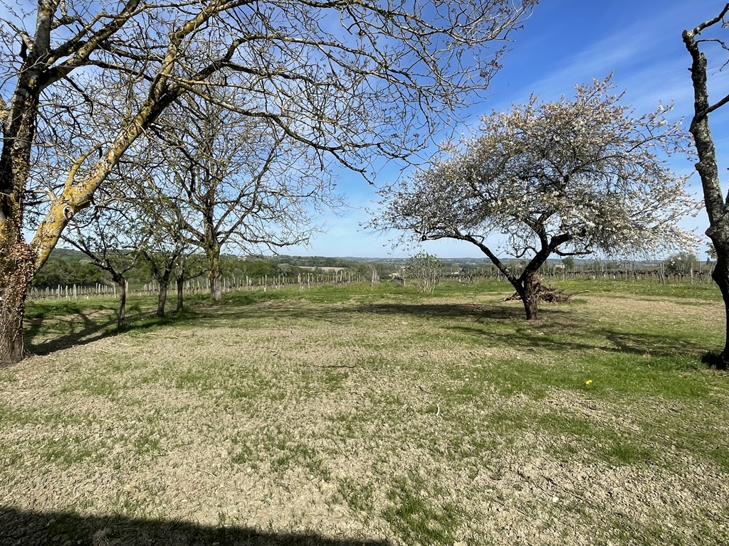 Au cep de Guy, Taillecavat - photo 3