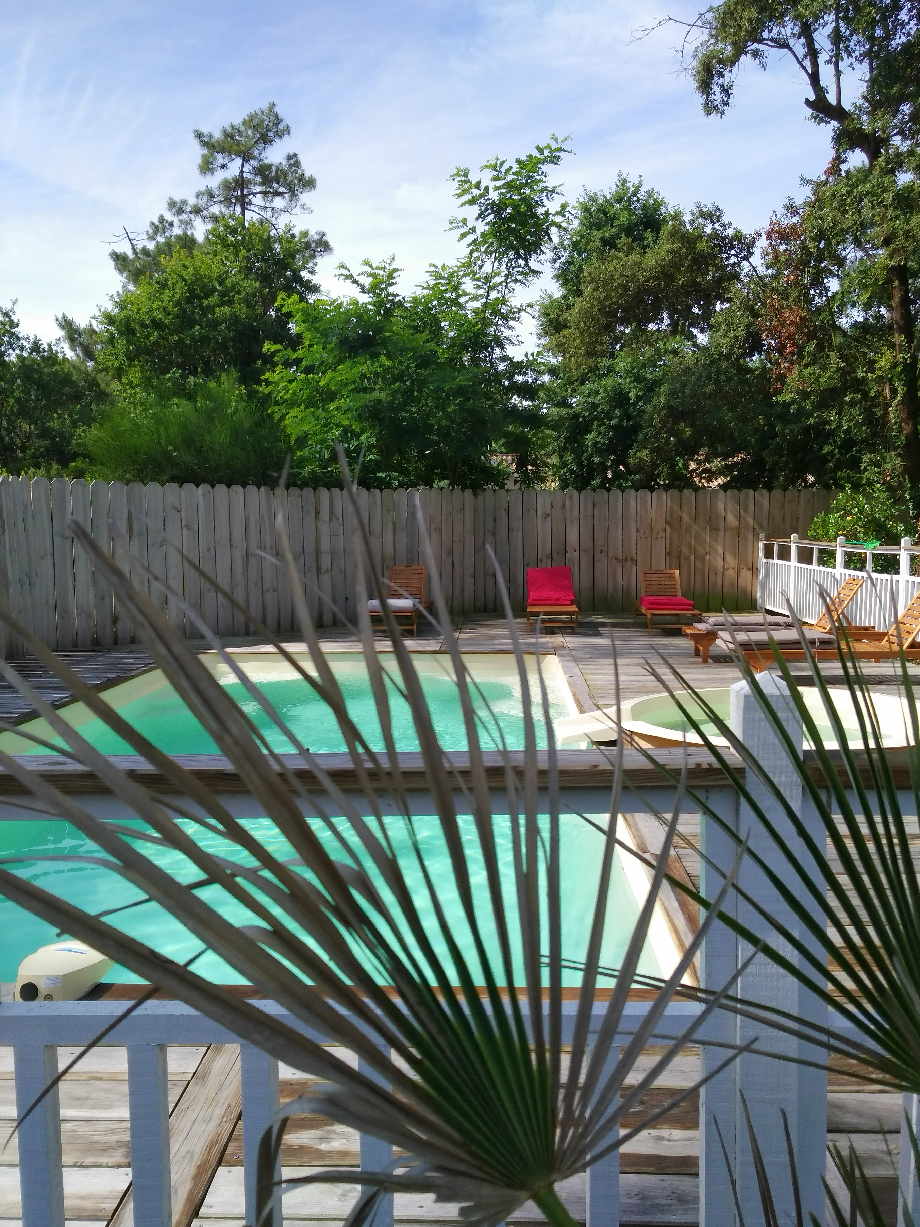 Au Jardin des Libellules, Soulac-sur-Mer - photo 14