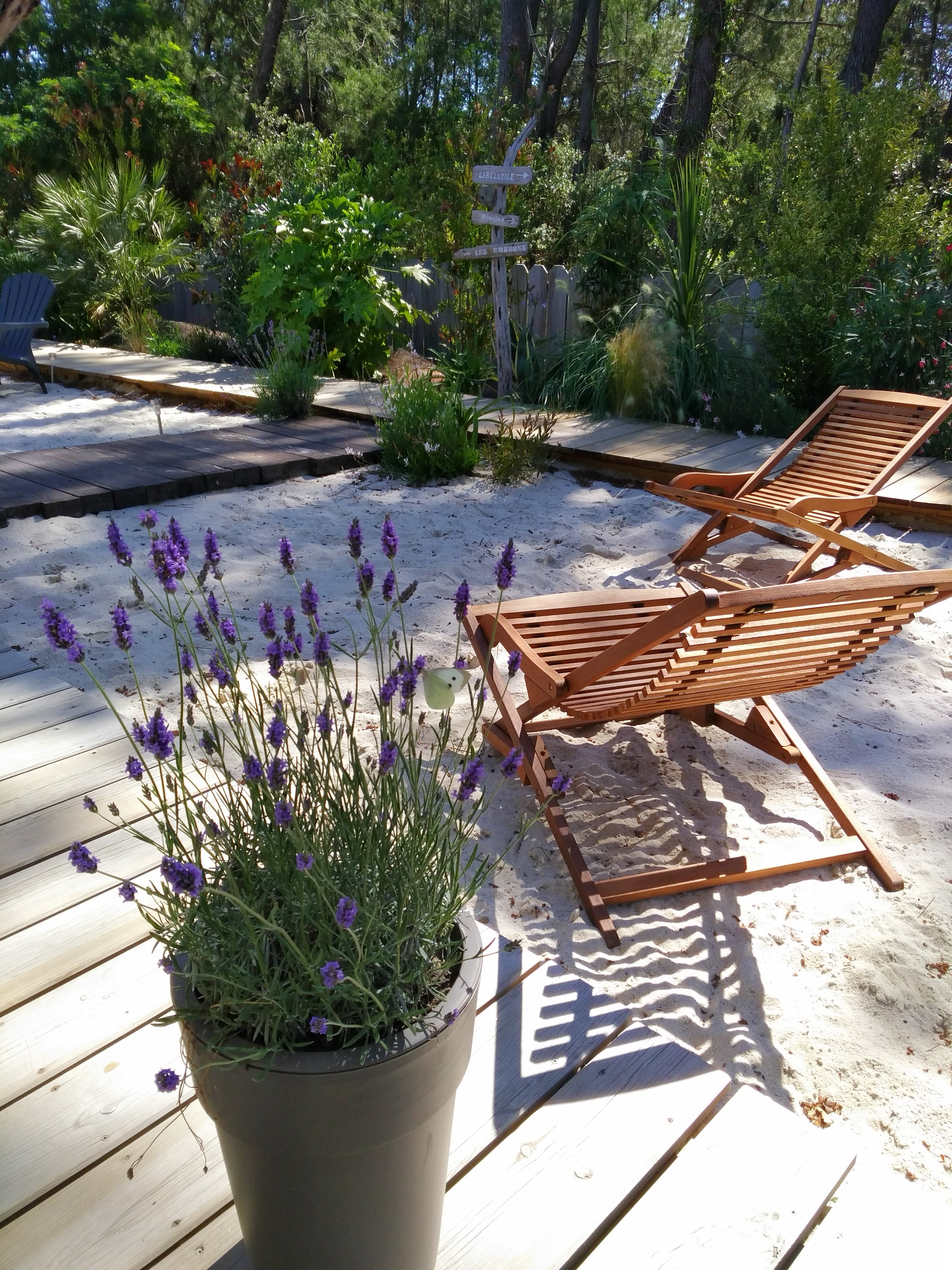 Au Jardin des Libellules, Soulac-sur-Mer - photo 11