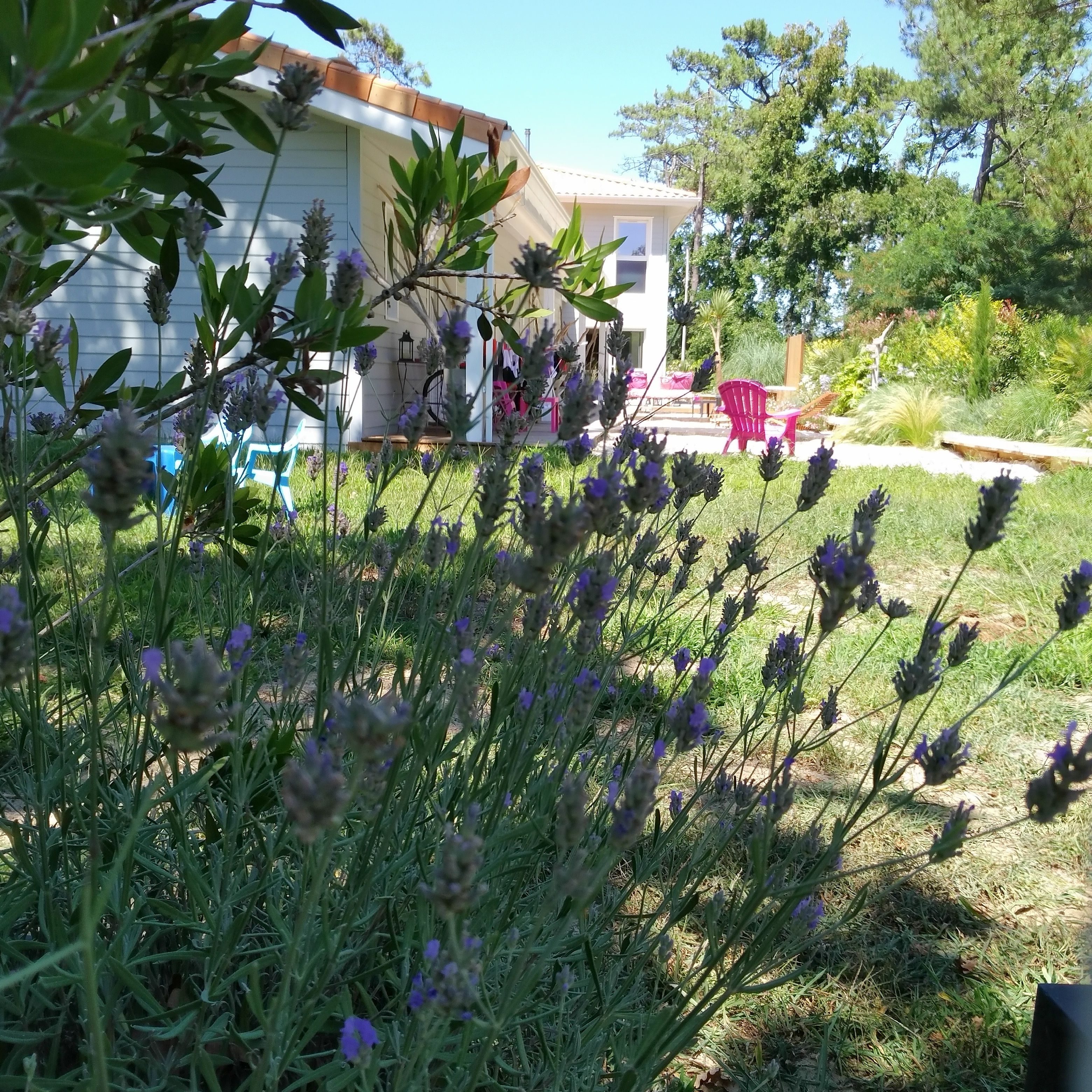 Au Jardin des Libellules, Soulac-sur-Mer - photo 15