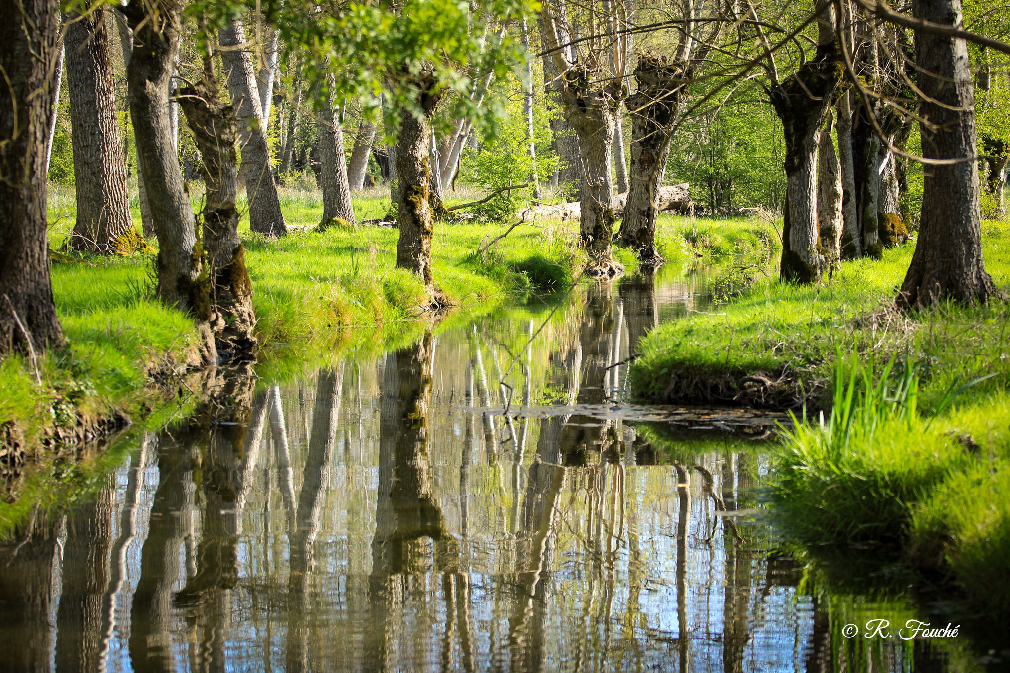 Au rythme de vos envies - Guide batelier indépendant - photo 2