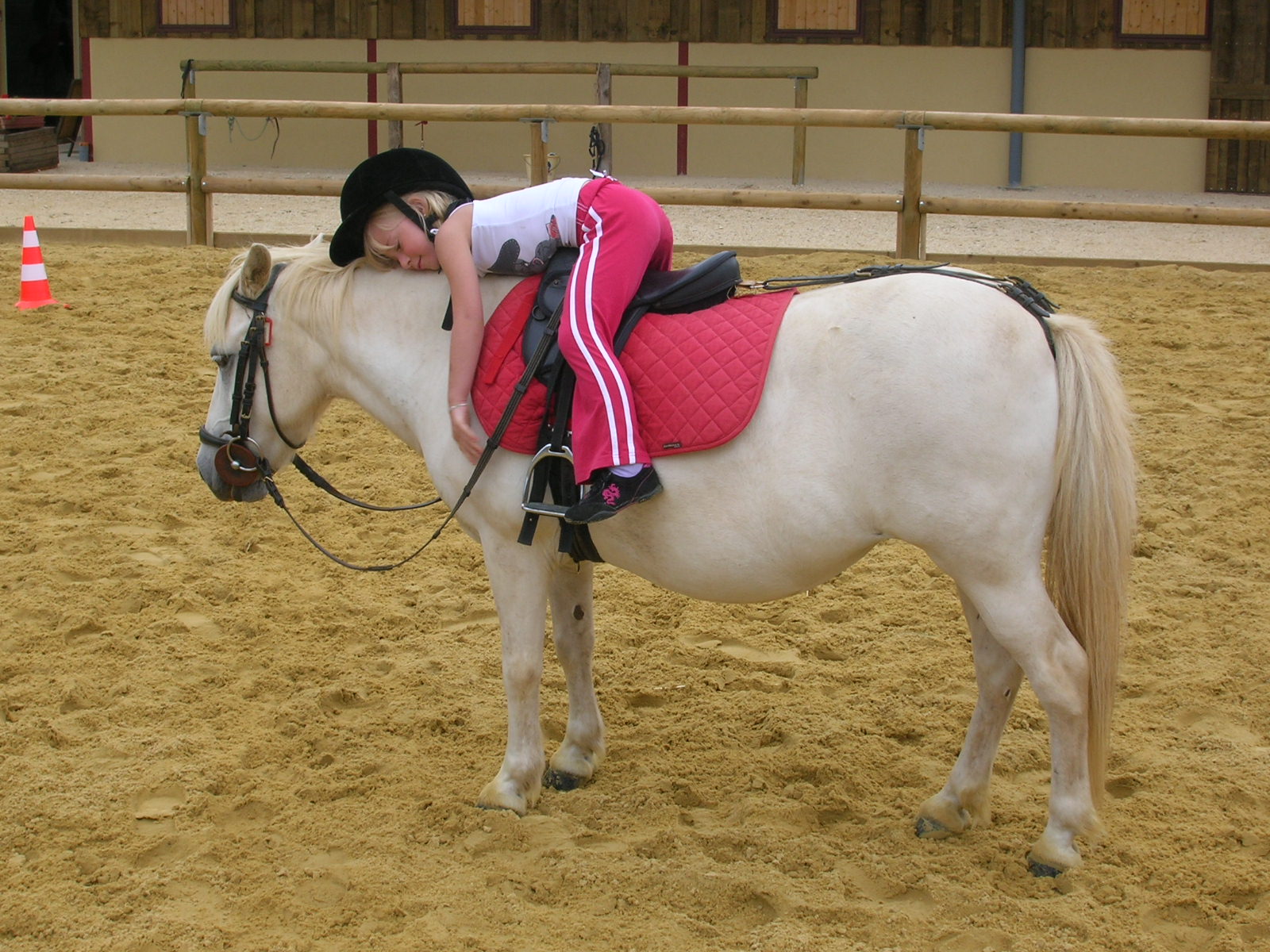 Centre équestre Au bos cheval rouge