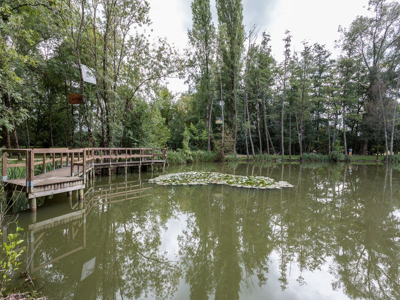 L'Aubarède, Saint-Seurin-sur-l'Isle - photo 5