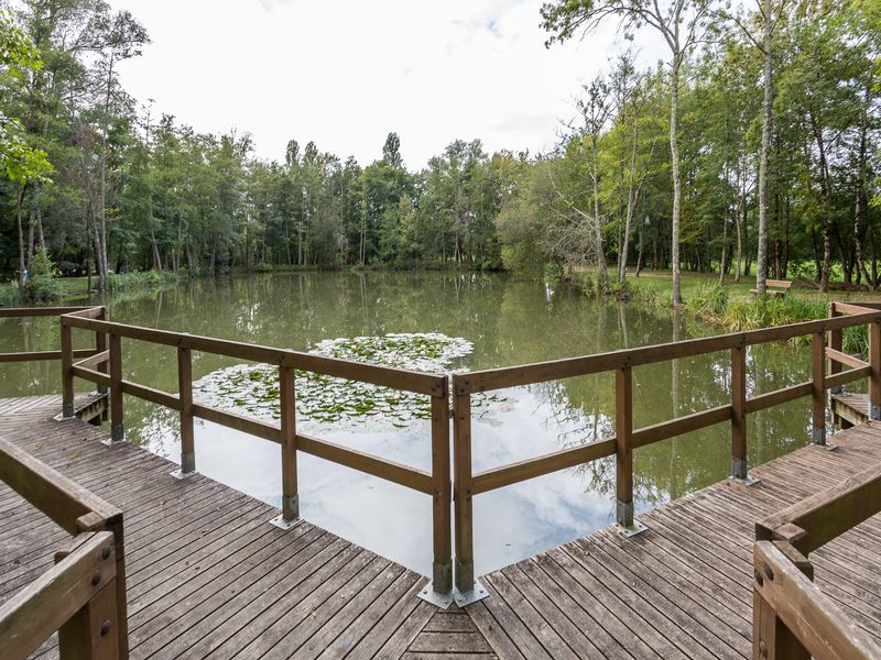 L'Aubarède, Saint-Seurin-sur-l'Isle - photo 4