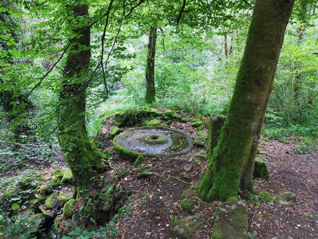 Livret jeu "Sam le Renard" aux Cascades d'Augerolles - photo 4