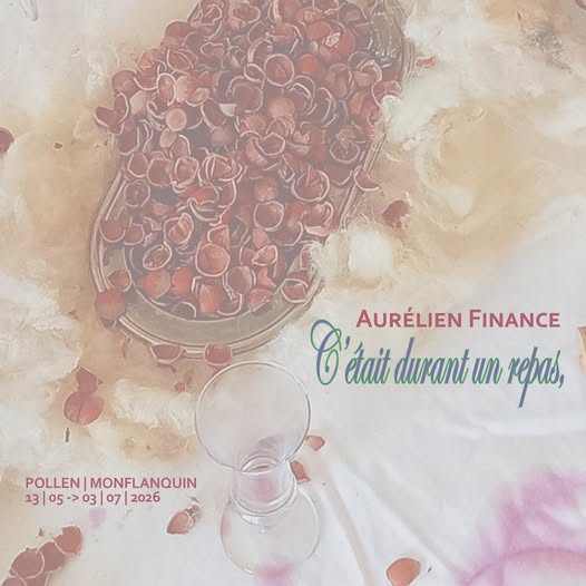 Exposition d'Aurélien Finance, C'était Durant un Repas