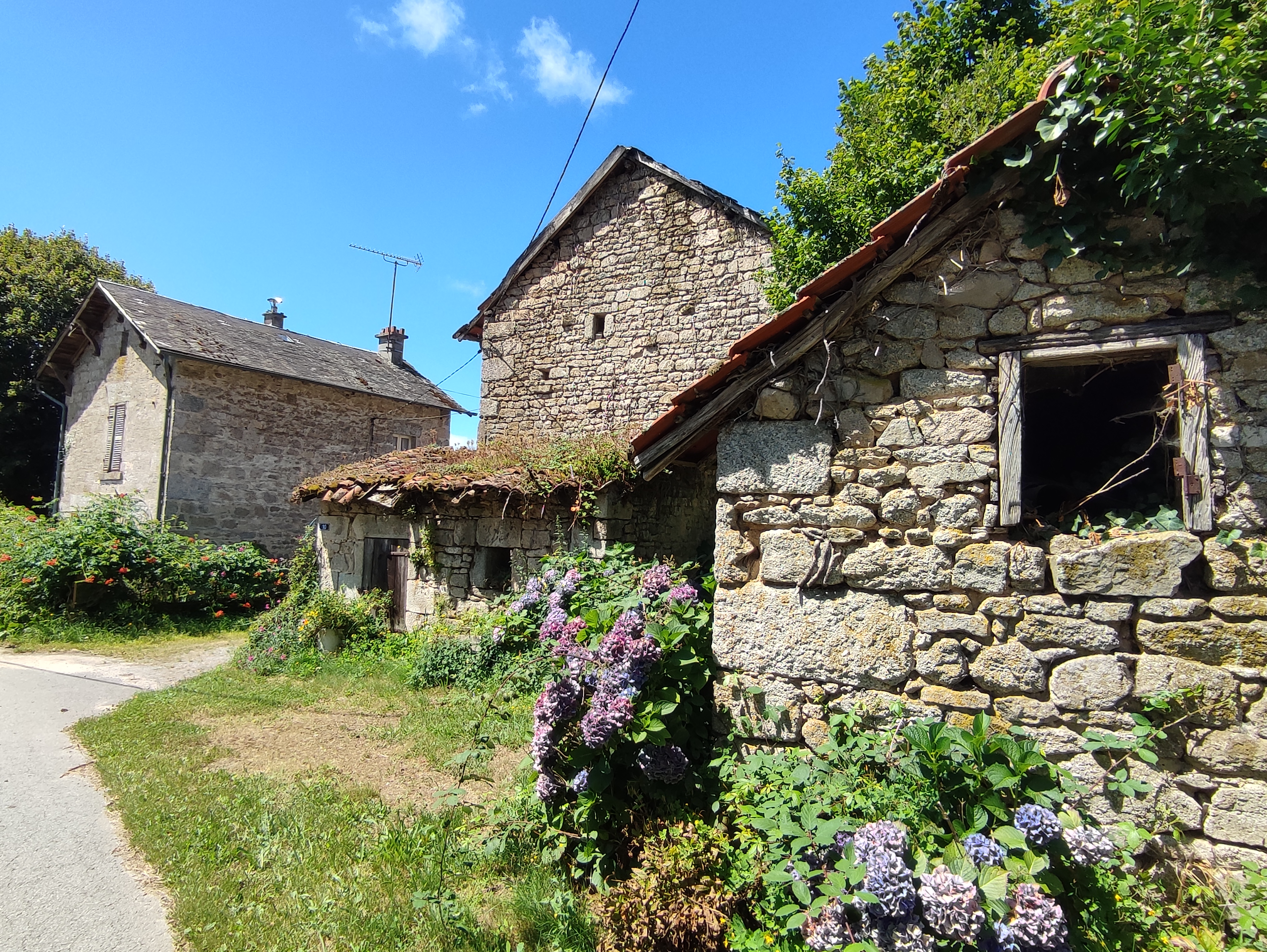 Circuit VTT n°6 Autour des monts d’Auriat, Champnétery - photo 7
