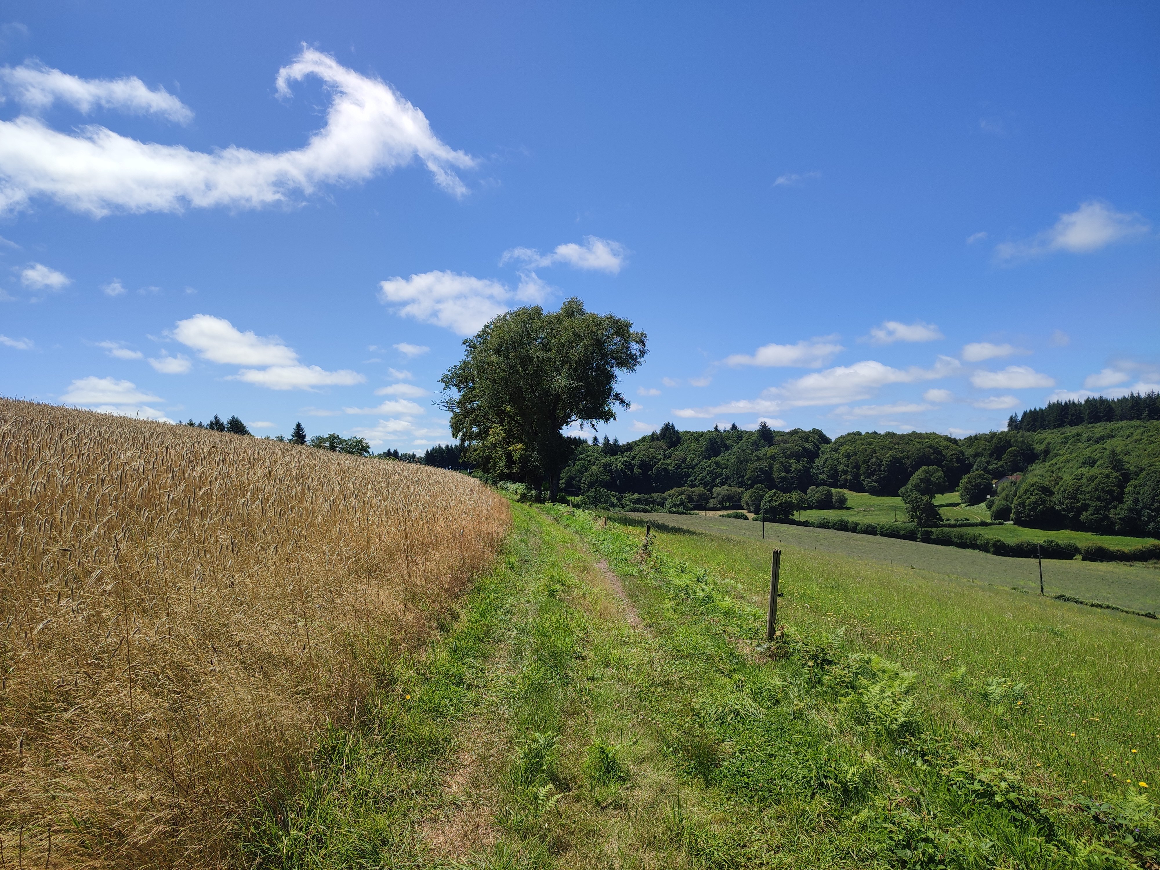 Circuit VTT n°6 Autour des monts d’Auriat, Champnétery - photo 3