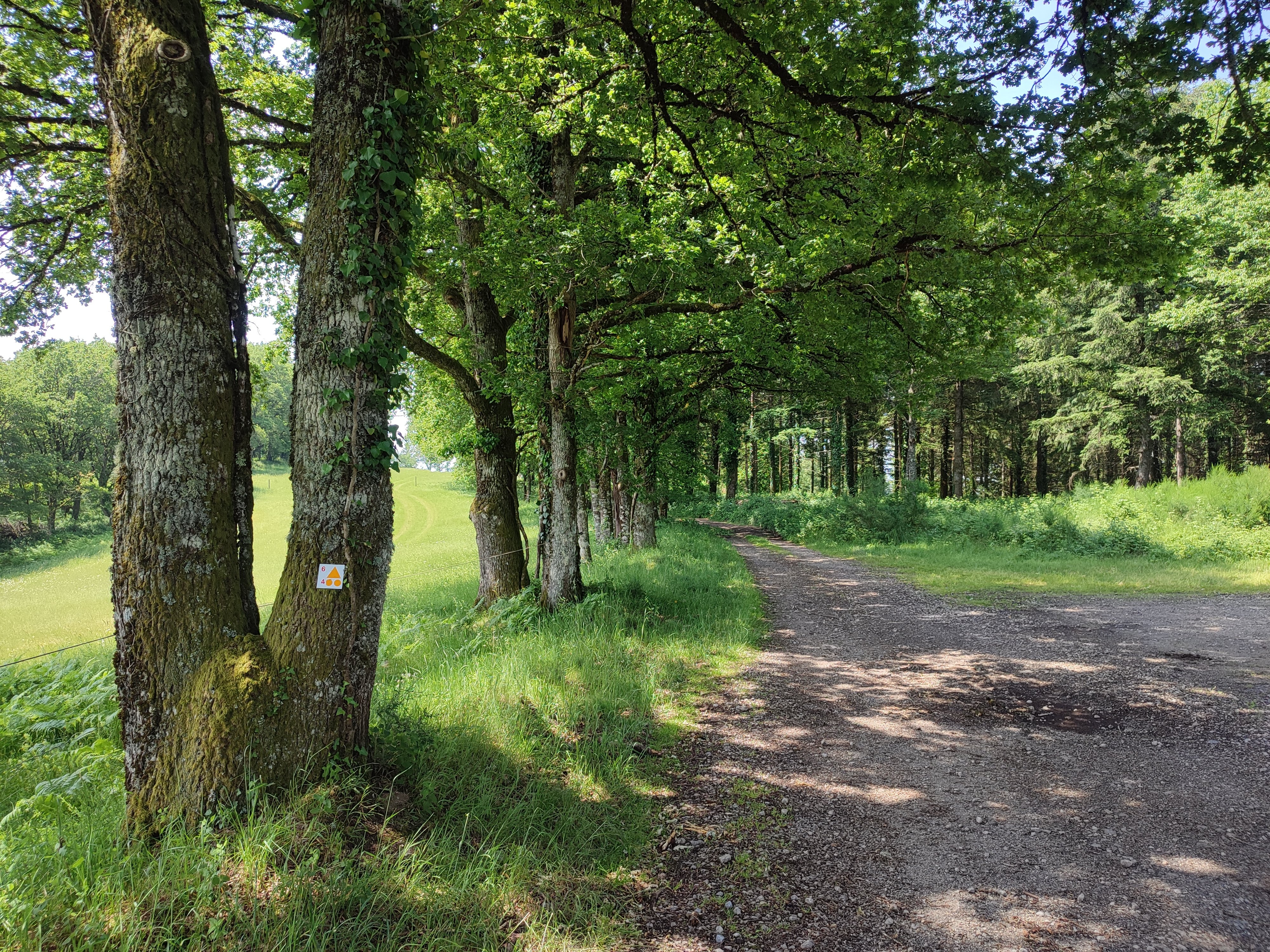 Circuit VTT n°6 Autour des monts d’Auriat, Champnétery - photo 5