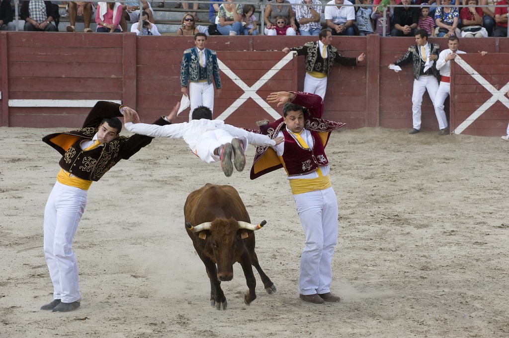 Arènes, Aurice - photo 4