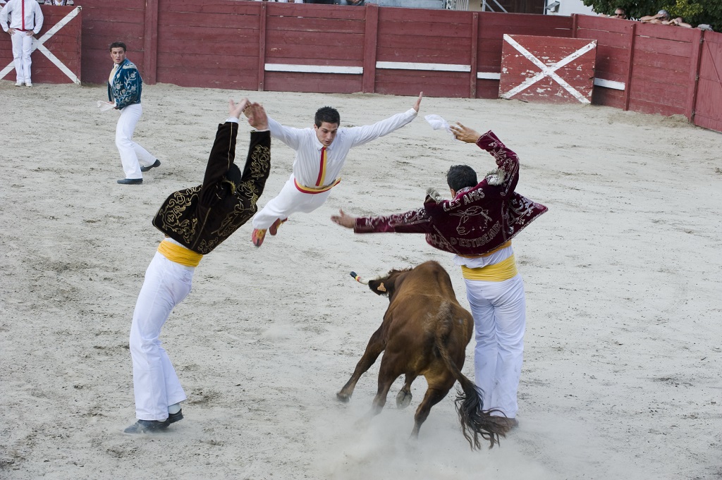 Arènes, Aurice - photo 2