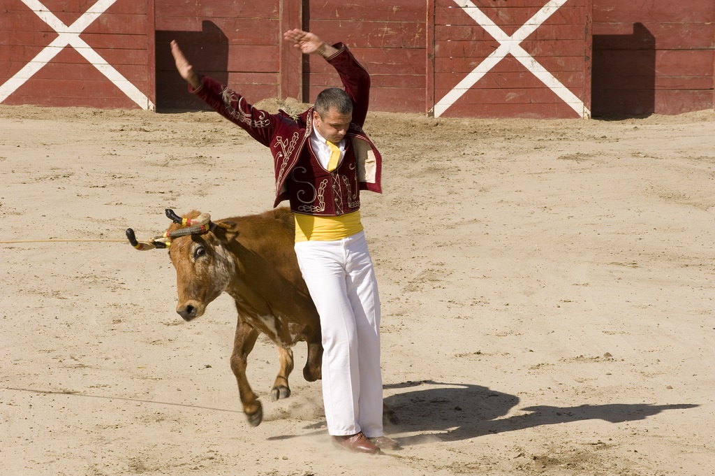 Arènes, Aurice - photo 12
