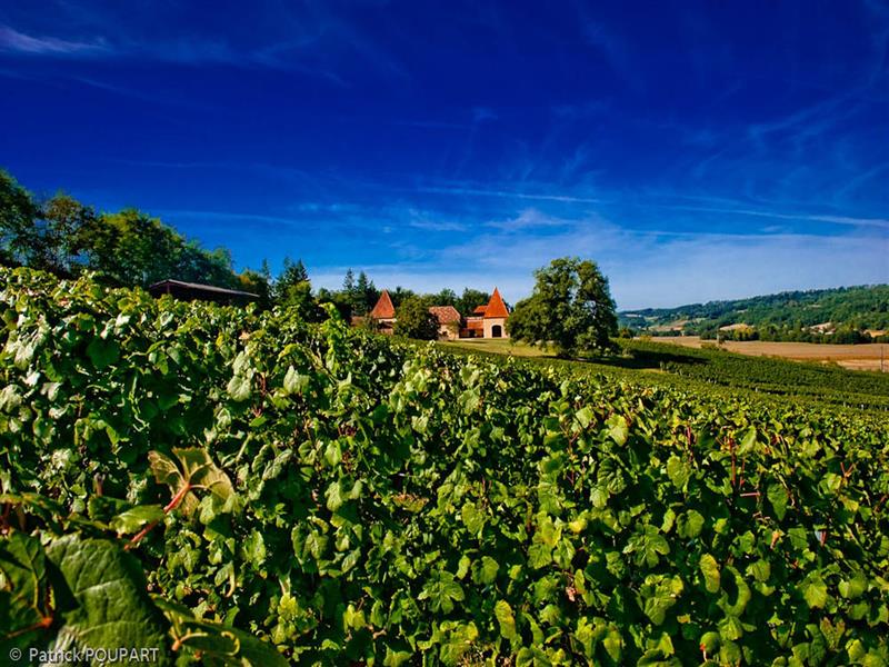 Domaine du Crampilh
