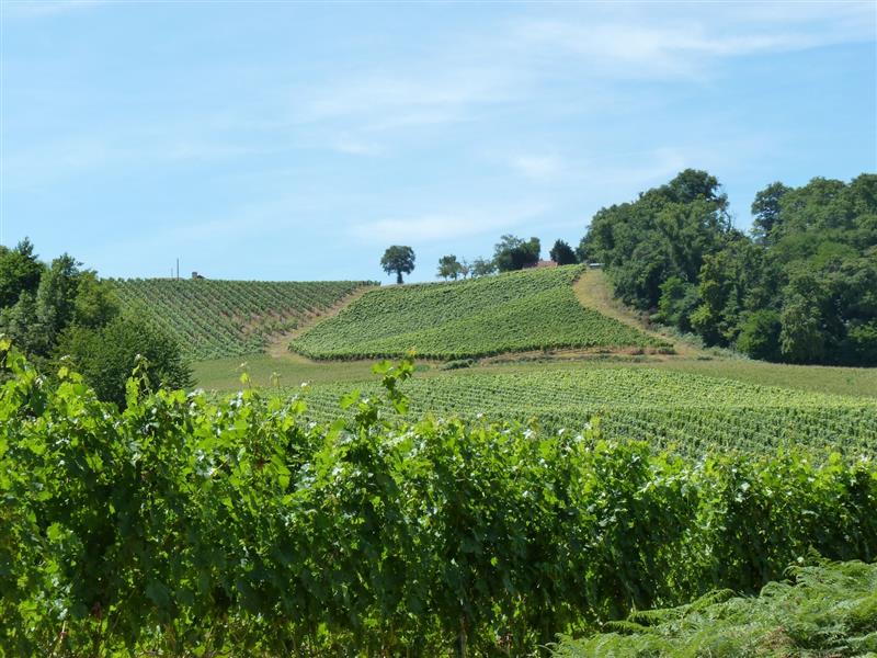 Domaine Hourcadet