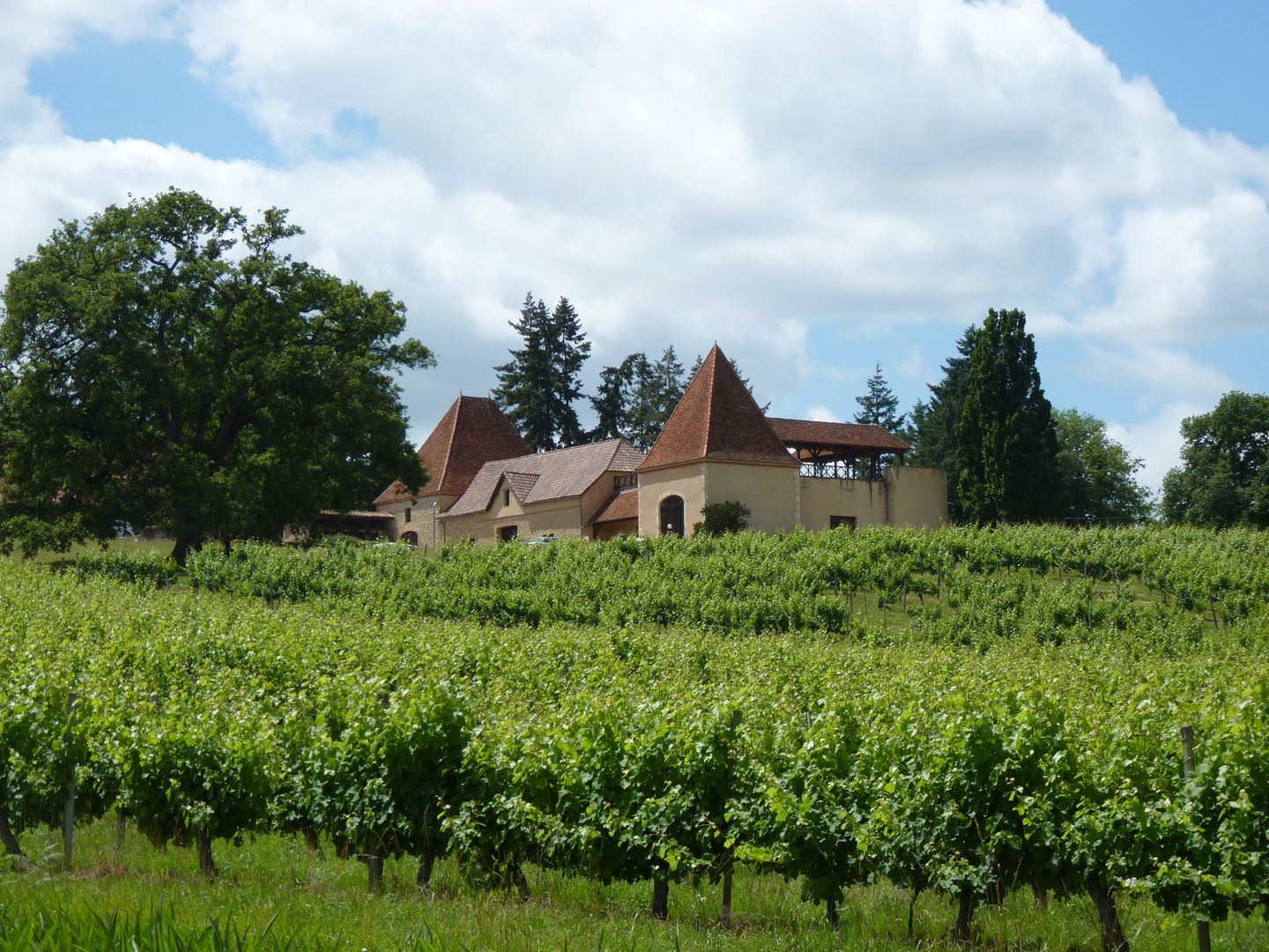 Salle de réunion et réception, du Domaine du Crampilh - photo 4