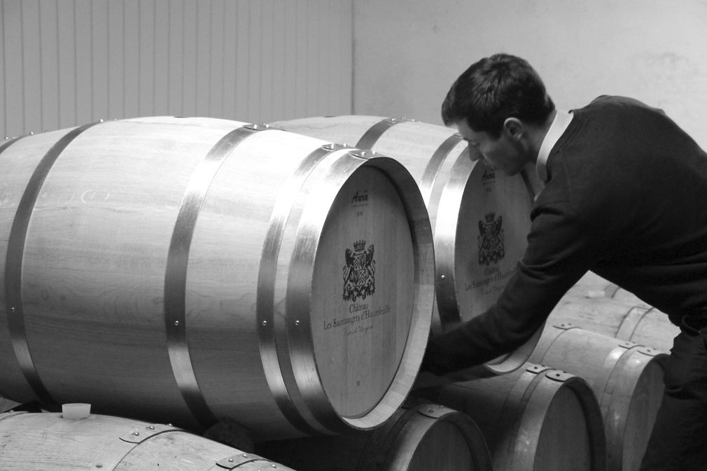 Château les Saintongers d'Hautefeuille - photo 3