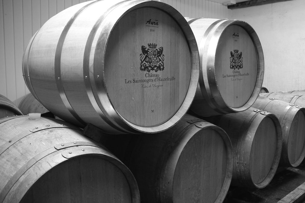 Château les Saintongers d'Hautefeuille