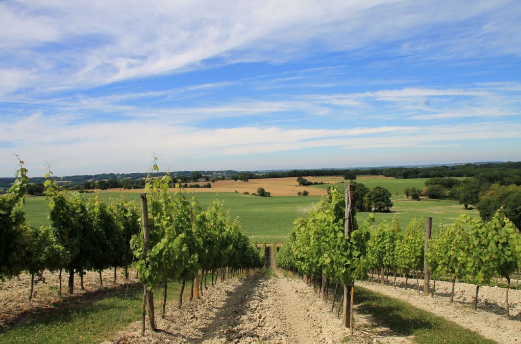 Clos du Pech Bessou