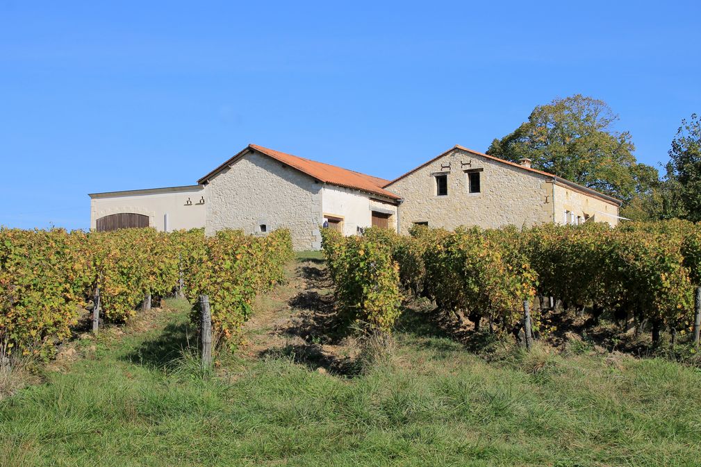 Château Haut Bernasse - photo 4