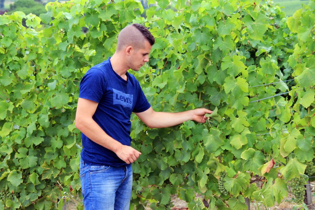 Château Les Gérales