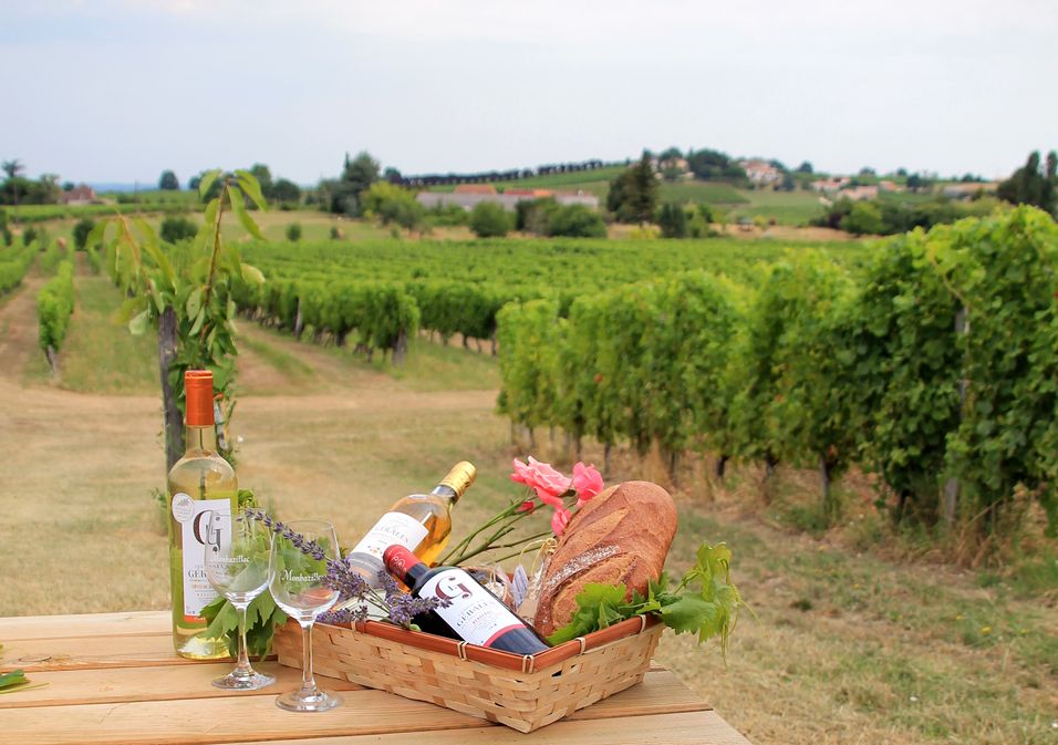 Château Les Gérales - photo 4